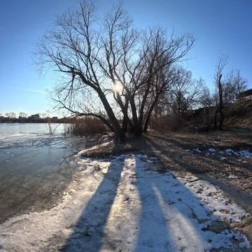 Tree shadow. sun through the branches. tree on the coast. winter landscape... Stock Photos
