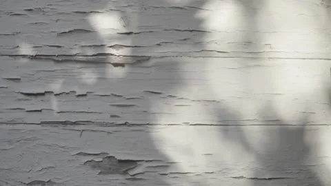 Tree shadow on textured wall Stock-Footage 138876629