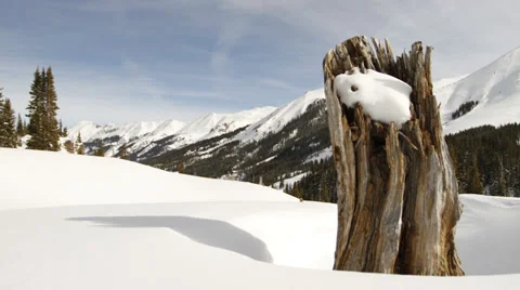 Tree shadow time lapse in silverton colorado Stock Footage 37623016