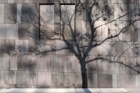 Tree shadow on the wall of a modern building Stock Photos