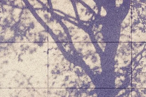 Tree Shadow on Wall Natural Abstract Background Stock Photos