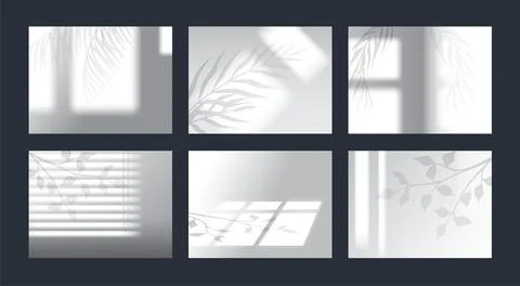 Tree shadow from window overlay. Light leaves. Monstera foliage and jalousie Stock Illustration