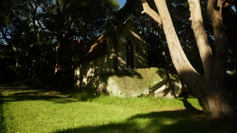 Tree shadows around final resting place of the Wentworth family in Sydney Video stock 304476207