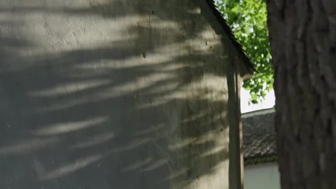 Tree shadows cast on white plaster wall of ancient Suzhou building Stock Footage 345655353
