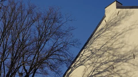 Tree Shadows Casting Over Warm Yellow Walls Vídeo Stock 297508532