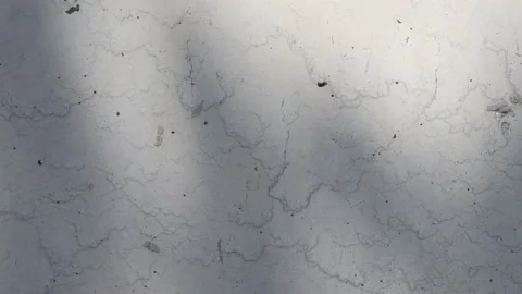 Tree shadows on concrete wall Stock Footage 172214081