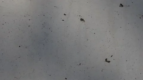 Tree shadows on concrete wall Stock Footage 172253375