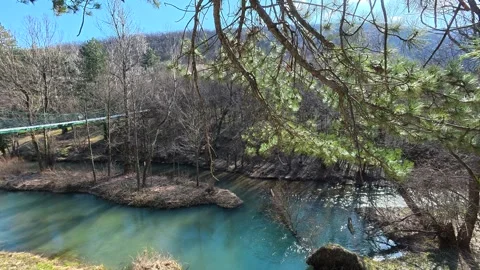 Tree shadows dance on mossy bank beside waterway. Balkan, Eastern Europe, POV Video stock 331454702