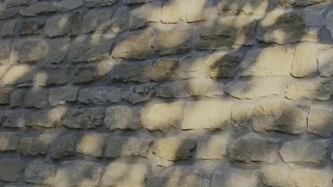 Tree shadows dancing on a rustic stone wall during the warm sunset Stock Footage 334789761