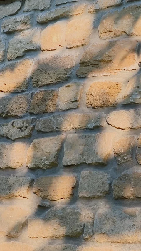 Tree shadows dancing on a rustic stone wall during the warm sunset Stock Footage 334795712