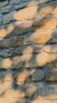 Tree shadows dancing on a rustic stone wall during the warm sunset Foto stock