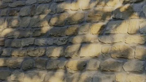 Tree shadows dancing on a rustic stone wall during the warm sunset 스톡 사진