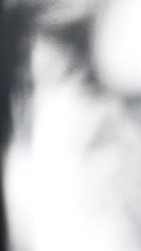 Tree shadows dancing on white wall creat... | Stock Video | Pond5