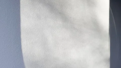 Tree Shadows Drifting Across Sunlit Textured Wall Видео 344716979