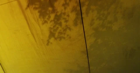 Tree shadows, in the evening on the tent Stock Footage 305791209