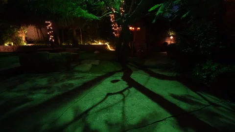 Tree shadows on a green-lit garden patio at night with string lights Stock Footage 345541750