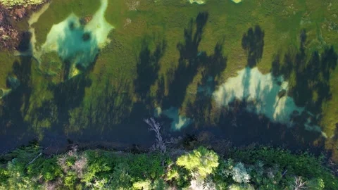 Tree Shadows In The Lake Stock Footage 226207258