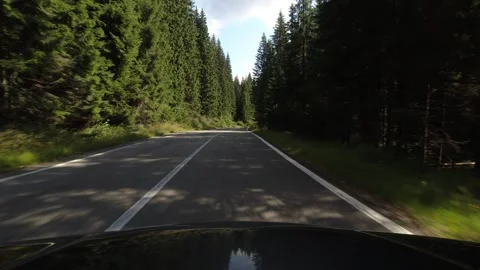 Tree shadows over the DN7A road 4K 60fps video Video stock 252418855