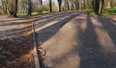 Tree shadows Stock Photos