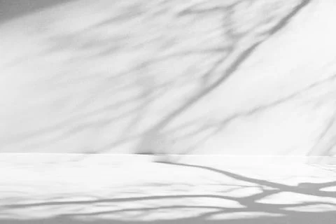 Tree shadows projecting organic shapes onto a blank concrete background Stock Photos
