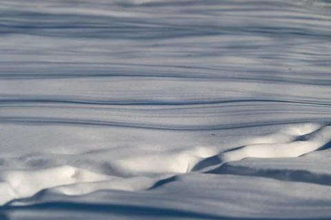 Tree shadows on snow, ridged contours and sharp troughs, strong side light creat Stock Photos