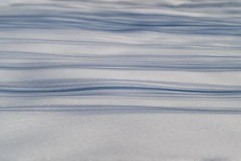 Tree shadows on snow, soft gradient across wide flat plane, subtle grain and low Stockfoto's
