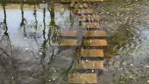Tree shadows, stone steps, and flowing streams Stock Footage 326131467