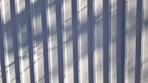 Tree Shadows Swaying on White Corrugated Metal Fence Stock Footage 330659448