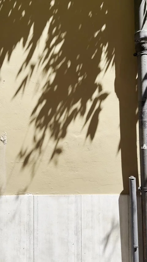 Tree Shadows on Warm Stucco Wall with Urban Pipe Minimal Architecture Stock Footage 340453779