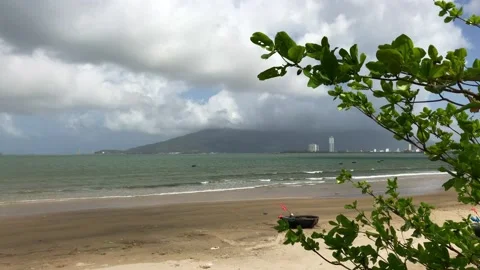 Tree shakes in strong wind on the beach in a cold cloudy day Stock Footage 146250939