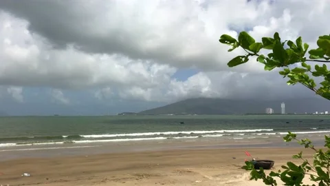 Tree shakes in strong wind on the beach in a cold cloudy day Stock Footage 146251162