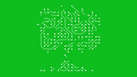 Tree shape with circuit lines effect on green screen background Stock Footage 330588877
