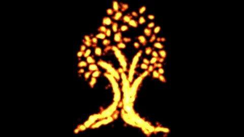 Tree shape with fire particles on plain black background Stock Footage 265153222
