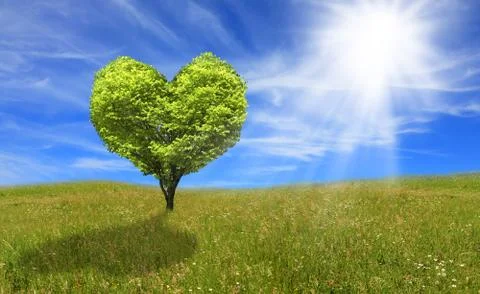 Tree in shape of heart Stock Photos