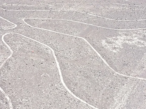The Tree shape in the Nazca Lines in Peru Stock Footage