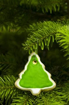 Tree shape short bread cookie Stock Photos