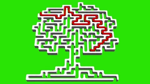 Tree shaped 3d maze with solution path on green screen background Stock Footage 318061115