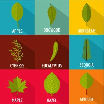 Tree sheet icons set, flat style Stock Illustration