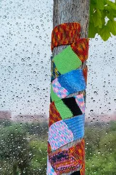 Tree sheltered or protected under rainy background. Stock Photos