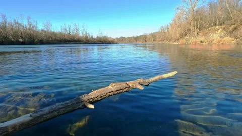 Tree on the shore of Ticino river Stock Footage 237197163