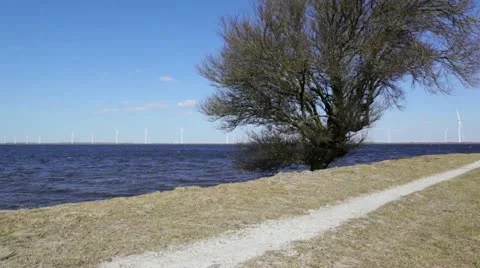 Tree on shore with windmills Stock Footage 22372723