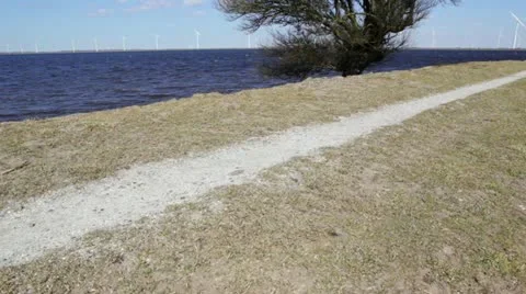 Tree on shore with windmills Stock Footage 22372893