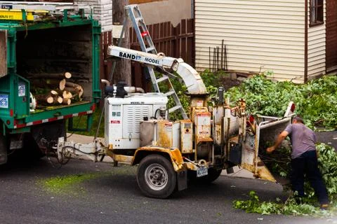 Tree Shredder Machine in action and workers pushing Branches into it. Stock Photos