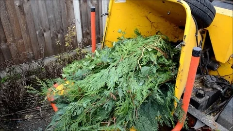 Tree Shredding Stock Footage 99039310