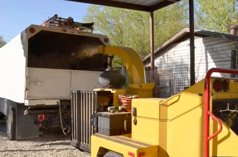 Tree Shreshrssdder Stock Photos