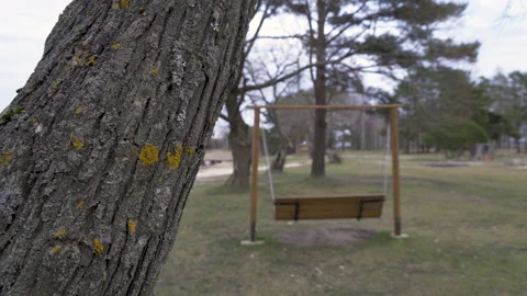 The tree on the side of the playground park Stock Footage 138971524