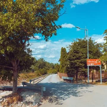 A tree by the side of the road in summer Stock Photos