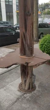 Tree-side table Stock Photos