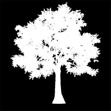Tree side view silhouette isolated - white - vector Stock Illustration