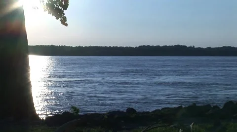 Tree silhouette 2 스톡 동영상 7751831